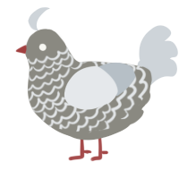 Honk, a ash and mist chicken with a lace pattern