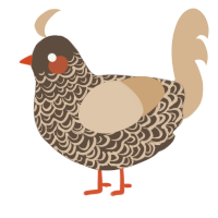 (unnamed), a bark and beige chicken with a double-lace pattern
