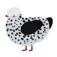 Lepiota, a mist and black chicken with a speckle pattern