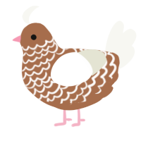 Neapolitan, a brown and white chicken with a lace pattern