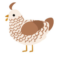wiwiw, a cream and brown chicken with a lace pattern