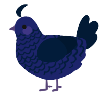 A navy and tumblr chicken with a lace pattern