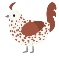 stracciatela icecrem, a white and russet chicken with a speckle pattern
