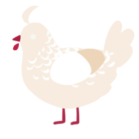 vlixel, a cream chicken with a half-lace pattern