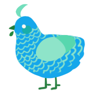 (unnamed), a sky and mint chicken with a lace pattern