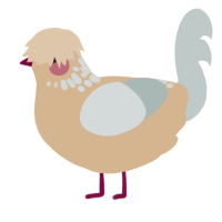 A beige and silver chicken with a neck-speckle pattern