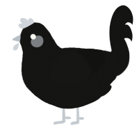 chromium, a black chicken with a double-lace pattern