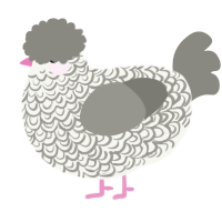 Trainer, a white and ash chicken with a double-lace pattern