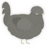 the red gaze, a ash chicken with a lace pattern