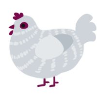 storm cloud, a mist chicken with a bar pattern