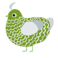 Absinthe - CD, a chartreuse and mist chicken with a lace pattern