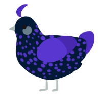 Naomi, a tumblr and indigo chicken with a speckle pattern