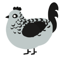 Catoptrophobia, a silver and sable chicken with a half-lace pattern