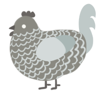 free, a ash and silver chicken with a lace pattern