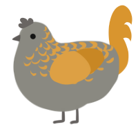 Owl, a ash and orange chicken with a half-lace pattern