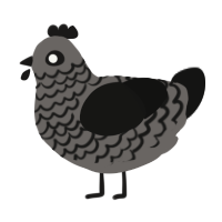 Little Darkness, a grey and black chicken with a lace pattern