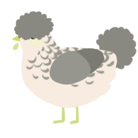 Dust Bunny, a cream and ash chicken with a half-lace pattern