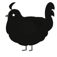 black xxy, a black chicken with a half-lace pattern