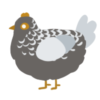 金, a grey and mist chicken with a half-lace pattern