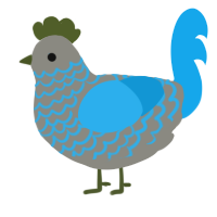 (unnamed), a ash and sky chicken with a lace pattern
