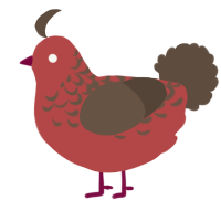 A red and bark chicken with a half-lace pattern