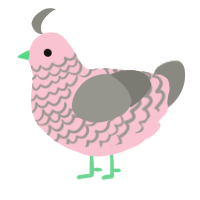 Gum, a rose and ash chicken with a lace pattern