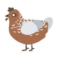 A brown and mist chicken with a half-lace pattern