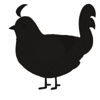Shiro, a sable chicken with a lace pattern