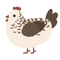 A cream and bark chicken with a half-lace pattern