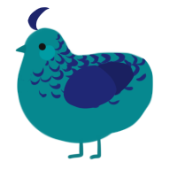 A teal and navy chicken with a half-lace pattern