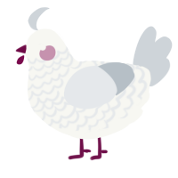 Salt, a white and mist chicken with a lace pattern