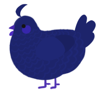 A navy chicken with a lace pattern