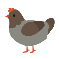 Ascher, a ash and bark chicken with a head pattern
