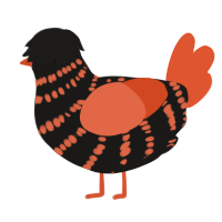 (unnamed), a sable and vermilion chicken with a bar pattern