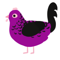 Gloom, a plum and black chicken with a half-lace pattern