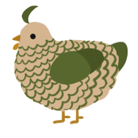 Chia, a beige and olive chicken with a lace pattern
