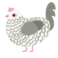 (unnamed), a white and ash chicken with a lace pattern