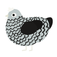 (unnamed), a silver and sable chicken with a lace pattern