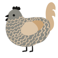 (unnamed), a ash and beige chicken with a lace pattern