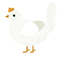 A white chicken with a lace pattern