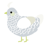 Hot Pocket, a mist and white chicken with a lace pattern