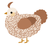 A cream and brown chicken with a double-lace pattern