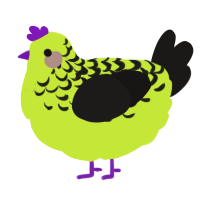 A lime and sable chicken with a half-lace pattern