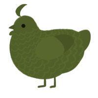 martini, a olive chicken with a lace pattern