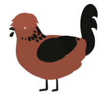 Leal, a russet and black chicken with a neck-speckle pattern