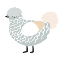 Truck Freak, a silver and cream chicken with a lace pattern