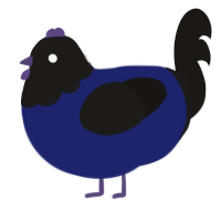 Void, a navy and sable chicken with a head pattern