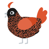 A sable and vermilion chicken with a double-lace pattern