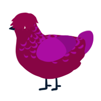 (unnamed), a maroon and plum chicken with a half-lace pattern