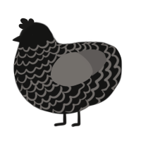 Divi, a black and grey chicken with a lace pattern